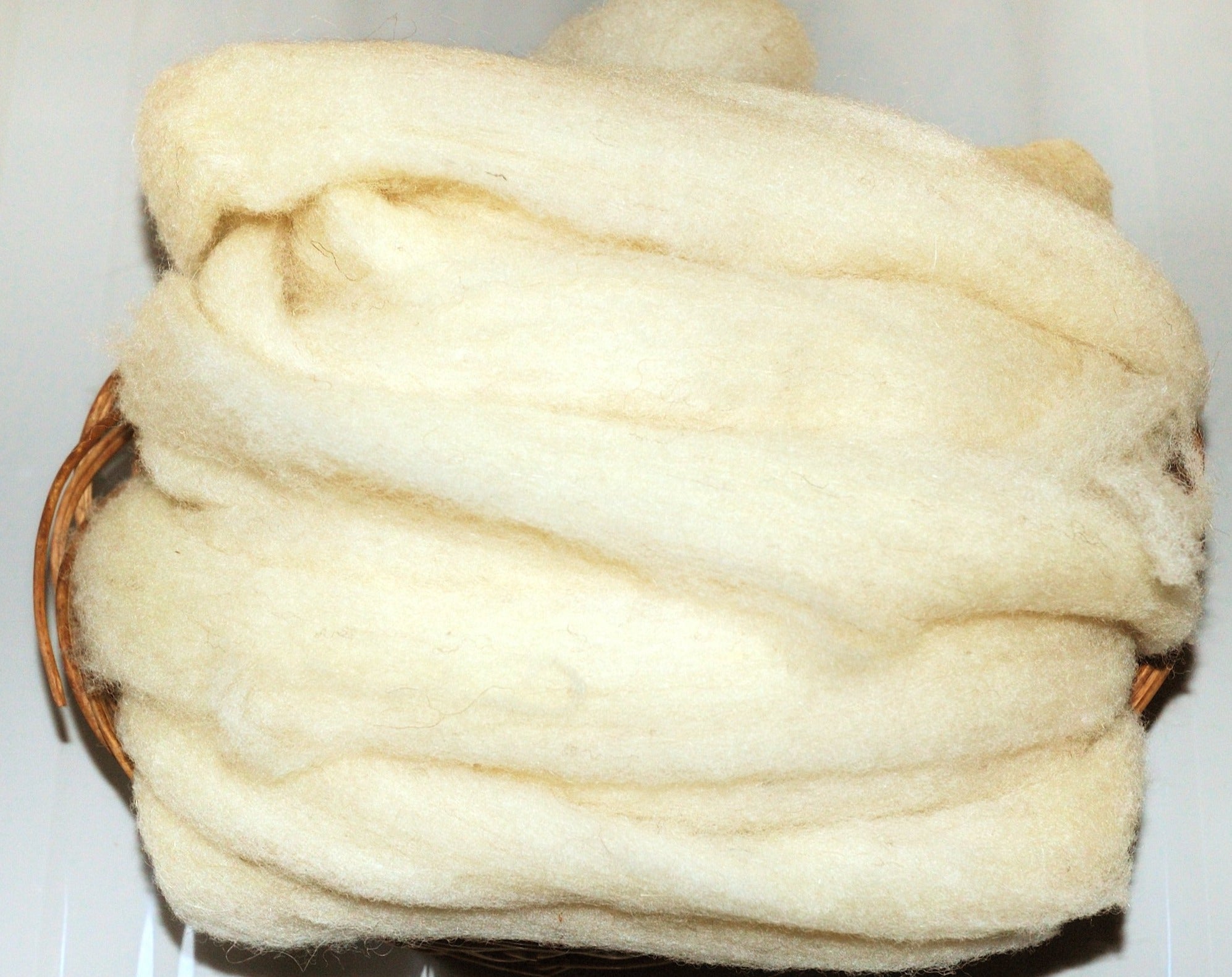 Lacaune White Tops Kits (100 grams)